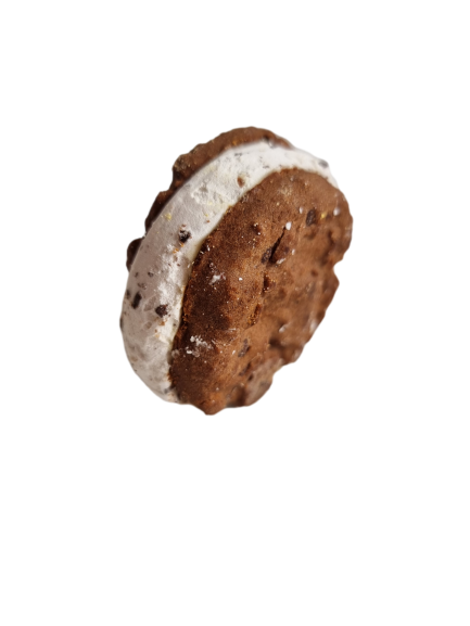 Freeze-Dried Ice Cream Cookie - Stracciatella